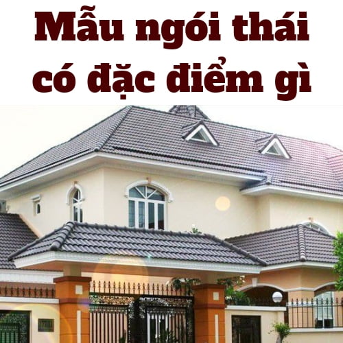 MẪU NGÓI THÁI CÓ ĐẶC ĐIỂM GÌ