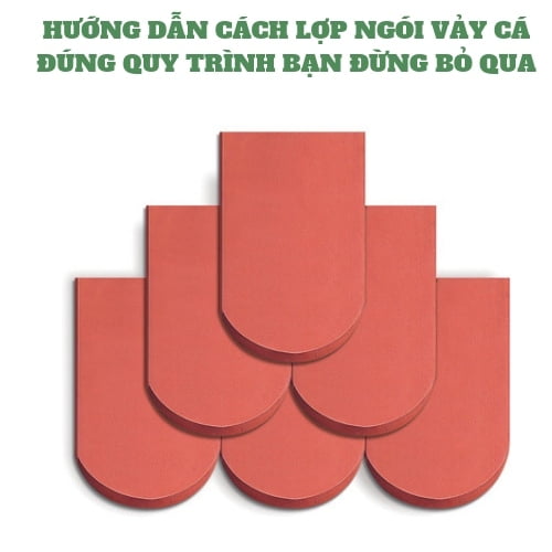 HƯỚNG DẪN CÁCH LỢP NGÓI VẢY CÁ