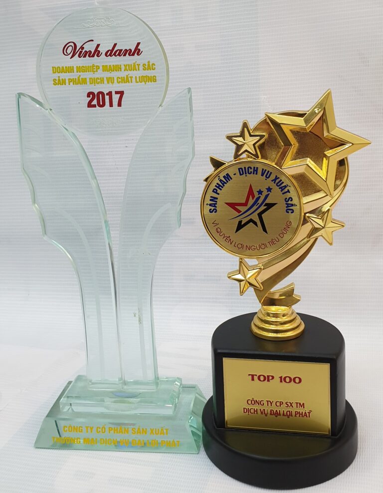 Những giải thưởng mà công ty Đại Lợi Phát (khung kèo Vntruss) đã đạt được