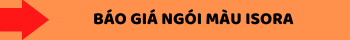 VÌ KÈO THÉP SIÊU NHẸ, CHỐNG RỈ VNTRUSS THI CÔNG MÁI DỰNG DỰ ÁN KHU THƯƠNG MẠI ĐẠI PHÁT VÌ KÈO THÉP SIÊU NHẸ, CHỐNG RỈ VNTRUSS THI CÔNG MÁI DỰNG DỰ ÁN KHU THƯƠNG MẠI ĐẠI PHÁT