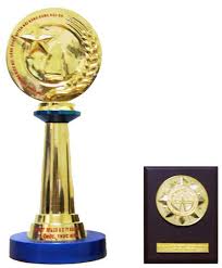 cup vang công ty dai loi phat - khung kèo thép mạ vntruss