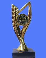 cup vang công ty dai loi phat - khung kèo thép mạ vntruss