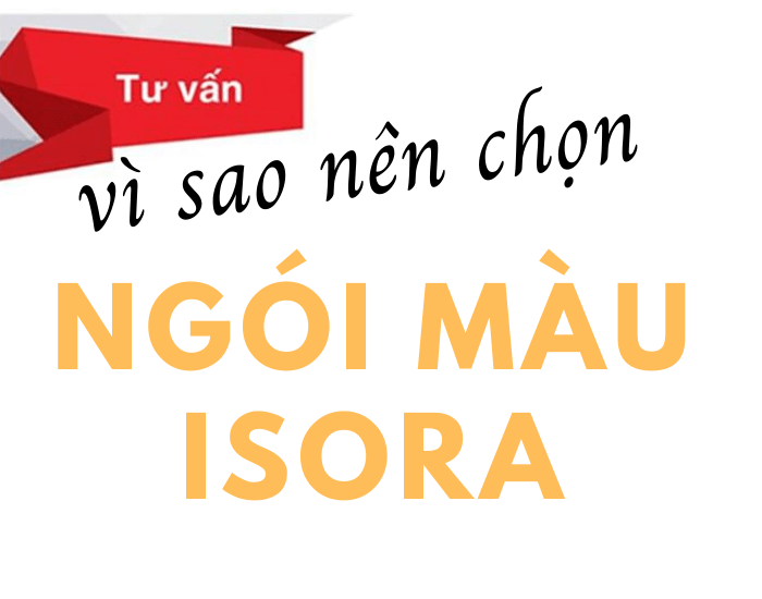 VÌ KÈO THÉP SIÊU NHẸ, CHỐNG RỈ VNTRUSS THI CÔNG MÁI DỰNG DỰ ÁN KHU THƯƠNG MẠI ĐẠI PHÁT VÌ KÈO THÉP SIÊU NHẸ, CHỐNG RỈ VNTRUSS THI CÔNG MÁI DỰNG DỰ ÁN KHU THƯƠNG MẠI ĐẠI PHÁT